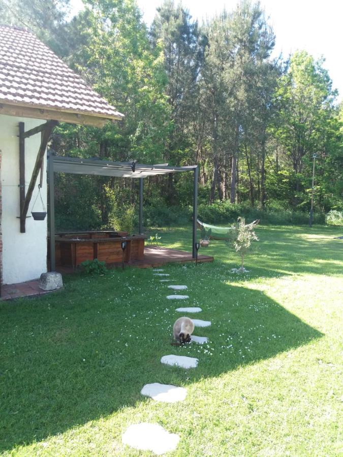 Les Eygletieres Bed and Breakfast Bourriot-Bergonce Exteriör bild